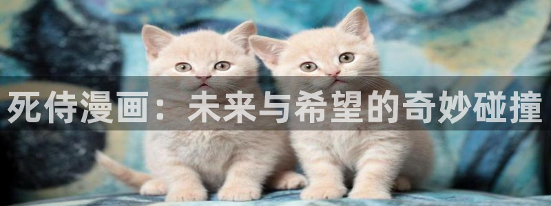 虫虫漫画旧版免费入口